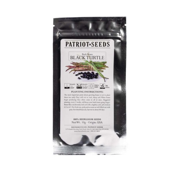 Heirloom Black Turtle Bush Beans Seeds (10g) by Patriot Seeds - 图片 2