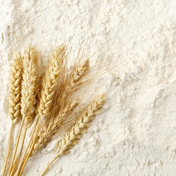 All-Purpose White Flour #10 Can (53 servings) - 图片 4