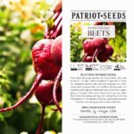 Heirloom Detroit Dark Red Beet Seeds (5g) by Patriot Seeds