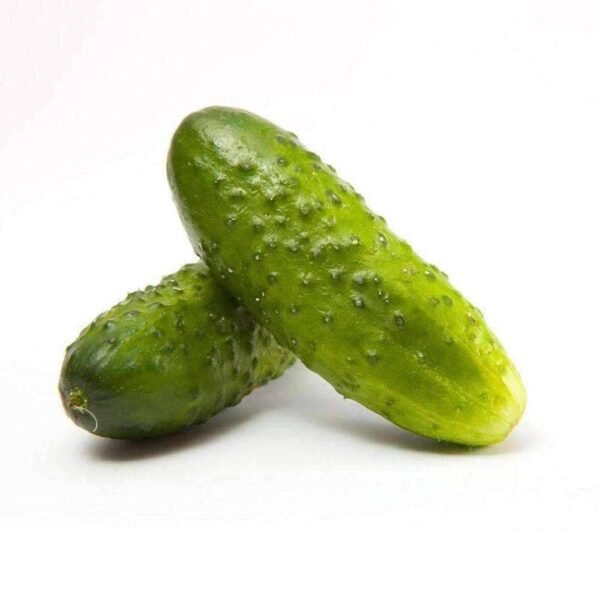 Heirloom Boston Pickling Cucumber Seeds (3g) by Patriot Seeds - 图片 4