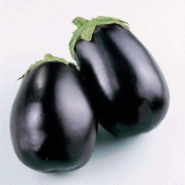 Heirloom Black Beauty Eggplant Seeds (.5g) by Patriot Seeds - 图片 3