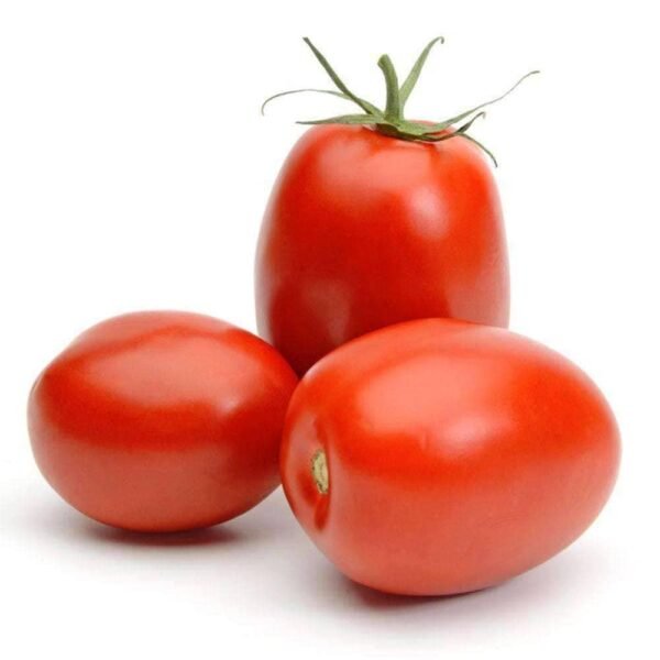 Heirloom Roma Tomato Seeds (.5g) by Patriot Seeds - 图片 5