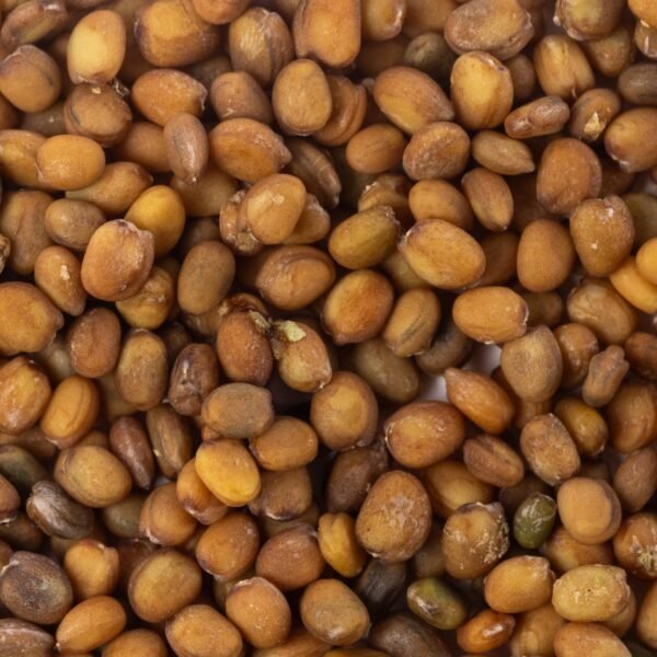 Heirloom Arugula Roquette Herb Seeds (1g) by Patriot Seeds - 图片 3