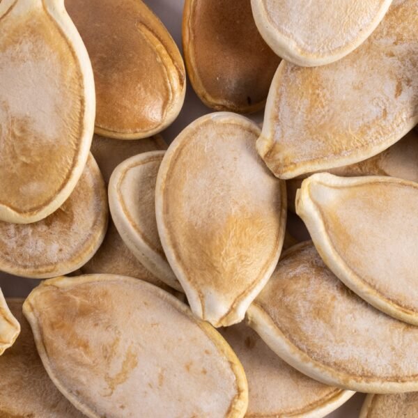 Heirloom Big Max Pumpkin Seeds (9g) by Patriot Seeds - 图片 3