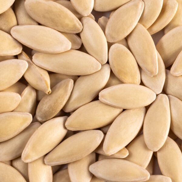 Heirloom Boston Pickling Cucumber Seeds (3g) by Patriot Seeds - 图片 3