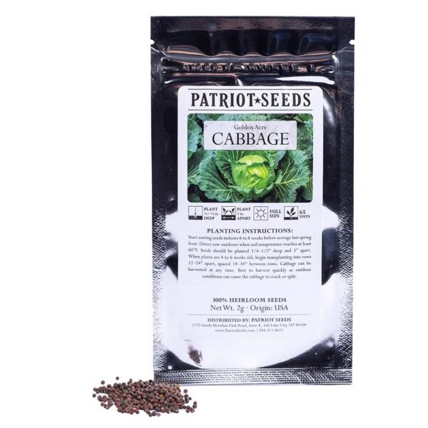 Heirloom Golden Acre Cabbage (2mg) by Patriot Seeds - 图片 3