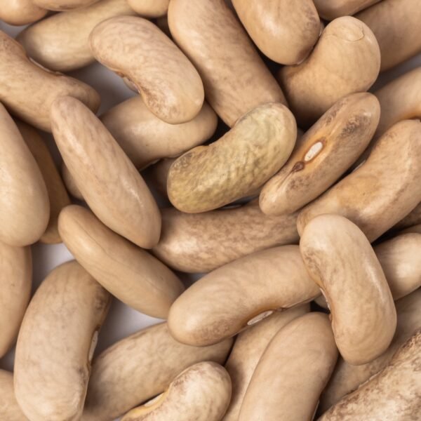 Heirloom Contender Bush Beans (5g) by Patriot Seeds - 图片 3