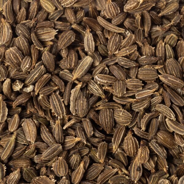 Heirloom Danvers 126 Carrot Seeds (1g) by Patriot Seeds - 图片 3