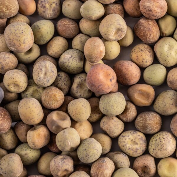 Heirloom Dwarf Gray Sugar Pea Seeds (24g) by Patriot Seeds - 图片 3