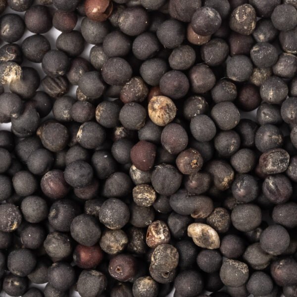 Heirloom Dwarf Siberian Kale Seeds (1g) by Patriot Seeds - 图片 3
