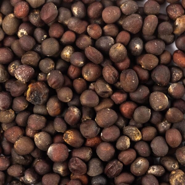 Heirloom Georgia Southern Collards Seeds (3g) by Patriot Seeds - 图片 3