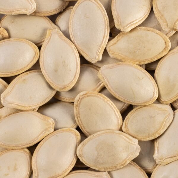 Heirloom Grey Zucchini Summer Squash Seeds (14g) by Patriot Seeds - 图片 3