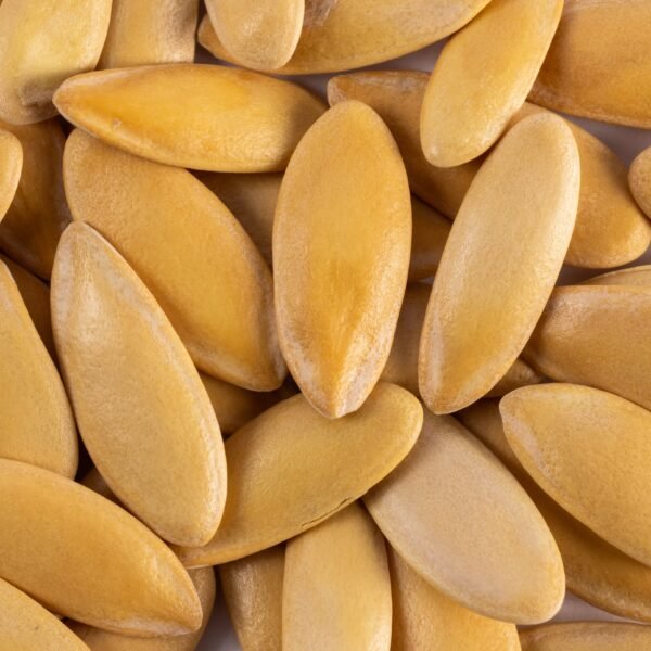 Heirloom Honeydew Melon Seeds (2g) by Patriot Seeds - 图片 3