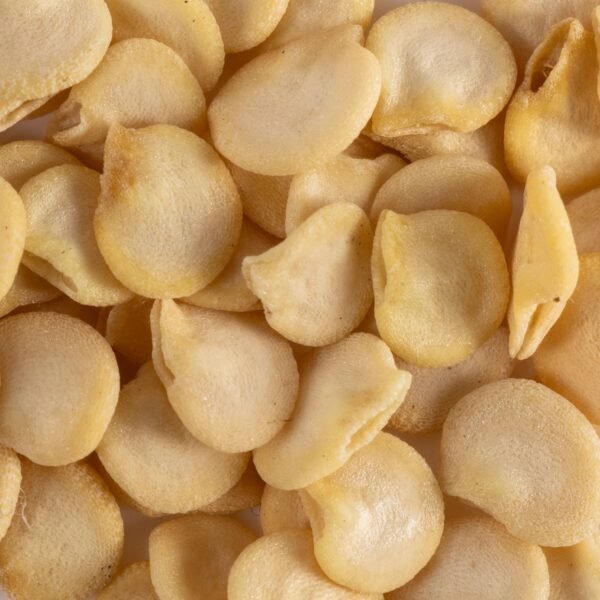 Heirloom Hungarian Sweet Wax Pepper Seeds (.5g) by Patriot Seeds - 图片 3