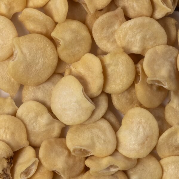 Heirloom Jalapeno Pepper Seeds (.5g) by Patriot Seeds - 图片 3