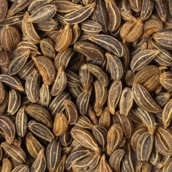 Heirloom Plain or Single Parsley Herb Seeds (1g) by Patriot Seeds - 图片 3
