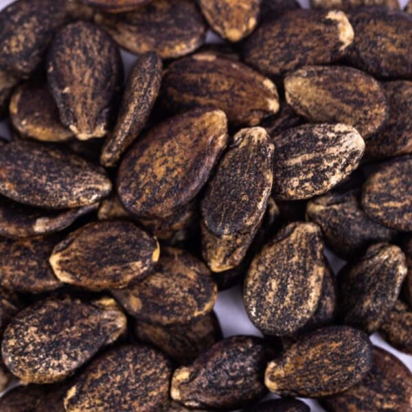 Heirloom Crimson Sweet Watermelon Seeds (3g) by Patriot Seeds - 图片 2