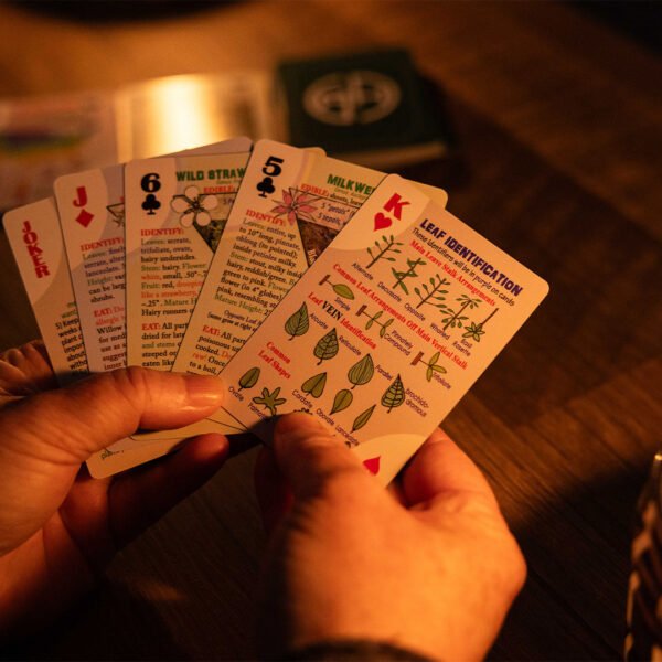Edible Wild Plants Playing Cards by Ready Hour - 图片 2