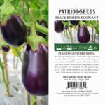 Heirloom Black Beauty Eggplant Seeds (.5g) by Patriot Seeds