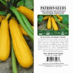 Heirloom Early Prolific Straightneck Summer Squash Seeds (5g) by Patriot Seeds
