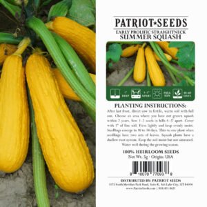 Heirloom Early Prolific Straightneck Summer Squash Seeds (5g) by Patriot Seeds