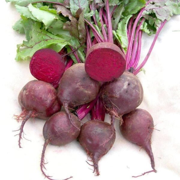 Heirloom Detroit Dark Red Beet Seeds (5g) by Patriot Seeds - 图片 4