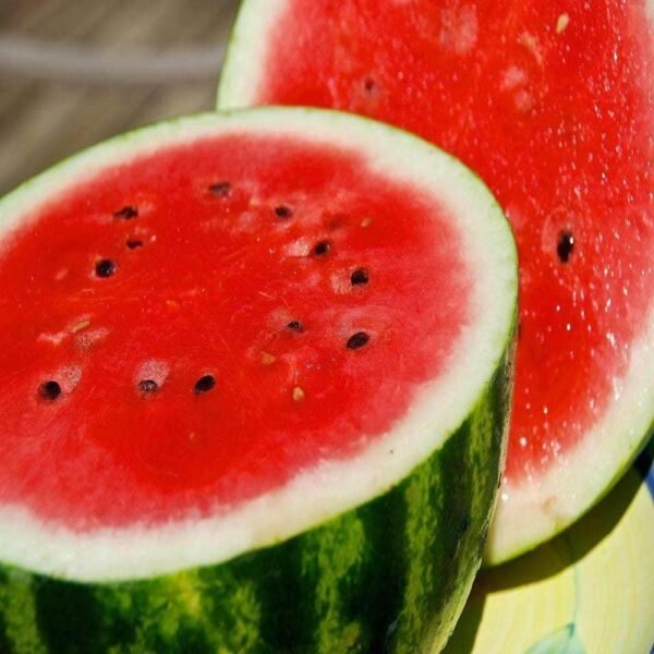 Heirloom Crimson Sweet Watermelon Seeds (3g) by Patriot Seeds - 图片 4