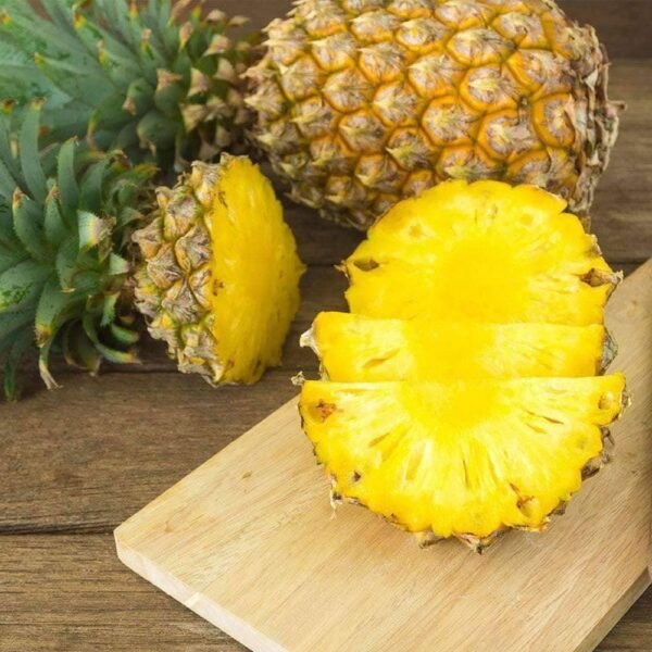 Freeze-Dried Pineapple Case Pack (32 servings, 4 pk.) - 图片 3